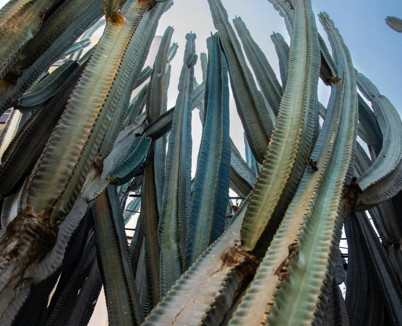 Kasa Cactus Laureles, Medellin Hotel